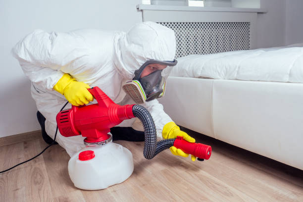 Professional Pest Control in Isle Of Palms, SC